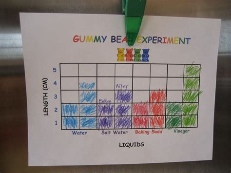 Gummy Bear Science Experiment Worksheet | Science fair projects boards, Cool science fair ...