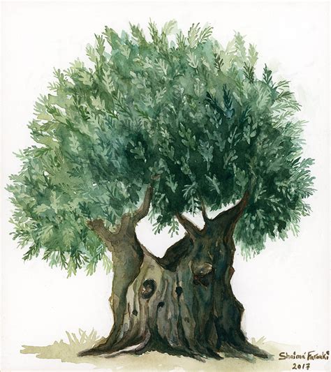 Gethsemane Olive Tree | Artwork, Landscape & Village Life, Prints | Levantine Gallery