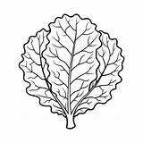 Vegetable coloring Page  Premium AI Generated Vector sketch template