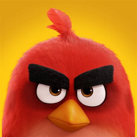 The Angry Birds Movie (2016) HD Desktop, iPhone & iPad Wallpapers – Designbolts