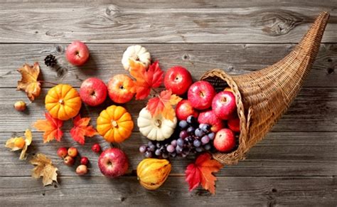 What Is A Cornucopia? Meaning, Symbolism, And How To Make One! - Farmers' Almanac - Plan Your ...