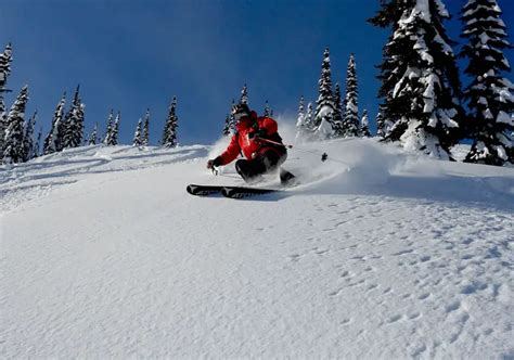 Great Northern Snowcat Skiing BC Canada