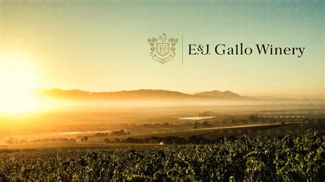 E. & J. Gallo Winery Continues Sustainability Leadership And Innovation - American Vineyard Magazine