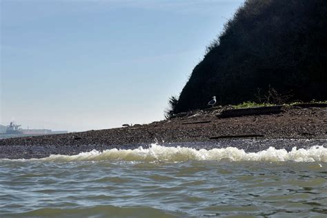 How Red Rock Island became the only private island in the SF Bay