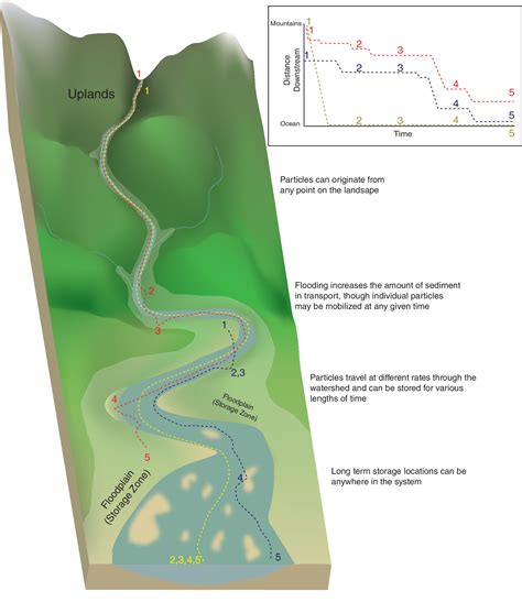 Sediment dynamics and implications for management: State of the science from long‐term research ...