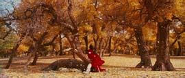 Hero Movie Stills - Yimou Zhang (2002)