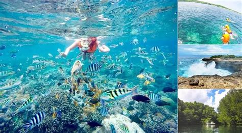 Nusa Lembongan Snorkeling Island Tour | The Best Trip 2024