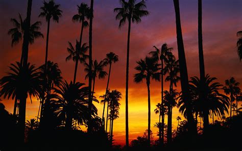 Hotel California Wallpapers - Top Free Hotel California Backgrounds ...