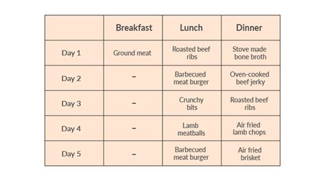 The Lion Diet: Is It Really Worth Trying?