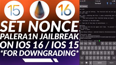 Set Nonce with Palera1n Jailbreak iOS 16/iOS 15 to downgrade to ...