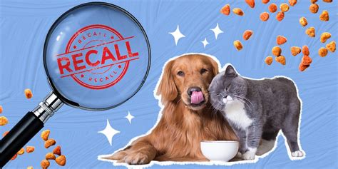 Pet Food Recall: Every Brand That’s Been Recalled In The Past Five Years - DodoWell - The Dodo