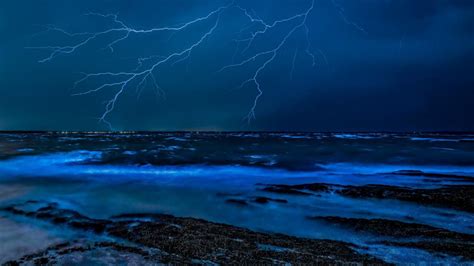 Top 5 Beautiful Bioluminescent Beaches In India - Dreamtrix