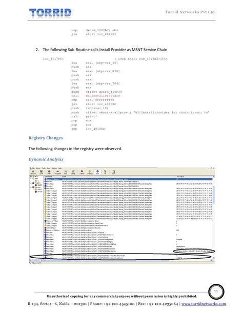 Malware Analysis Report