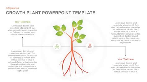 Plant Growth PowerPoint Template and Keynote Slide - Slidebazaar