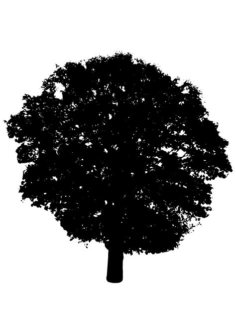 Clipart - tree silhouette 3