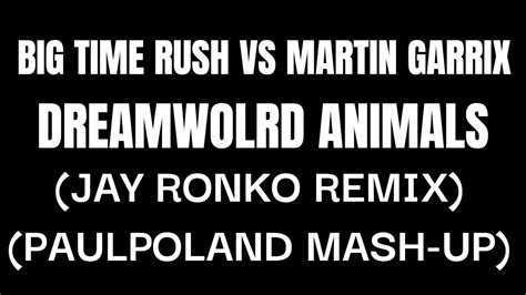 Big Time Rush Vs Martin Garrix - DreamWorld Animals (PaulPoland Mash-Up) - YouTube