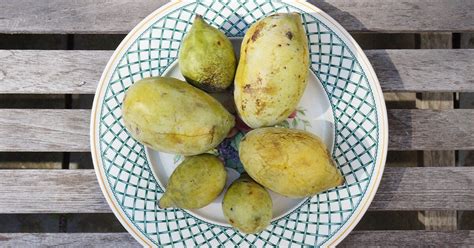 What Is Pawpaw Fruit? Nutrition, Benefits, and How to Find It