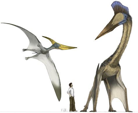 Species New to Science: [Paleontology • 2002] Hatzegopteryx thambema • A new Giant azhdarchid ...