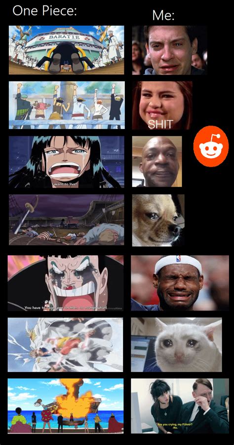 My top sad moments in One Piece : r/MemePiece