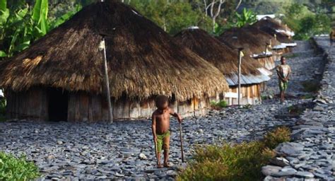 Honai Papua Traditional House: Uniqueness, Origins, and the Manufacturing Process - papuaaround.com