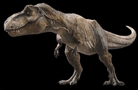 New photo of the T Rex From Jurassic World Fallen Kingdom | Jurassic ...