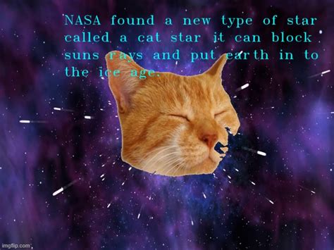 space cat - Imgflip