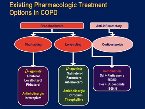 Improving Outcomes in COPD Patients: Breaking Down the Barriers to ...