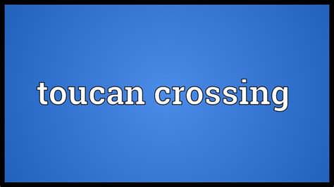 Toucan crossing Meaning - YouTube