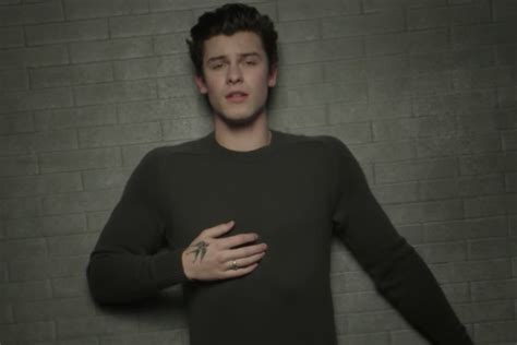 Shawn Mendes Weathers Several Storms in ‘In My Blood’ Video