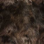 Seamless Fur Textures by roseenglish on DeviantArt