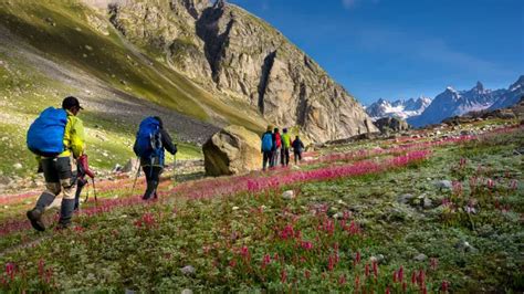 Top 8 Things to Do in Bir Billing: Fly High in the Land of Himalayas