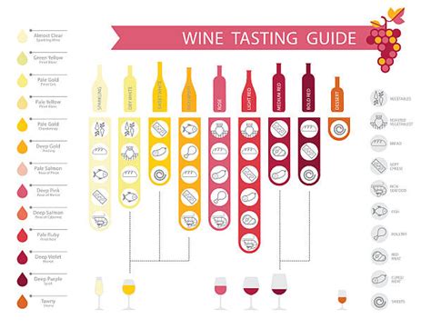 Wine Pairing Chart Print Set Of (11x14 Inches) Glossy Food Flavor Guide Bar Types Glasses ...