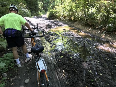 Cowichan Valley Trail on Vancouvers Island - Sharing Horizons