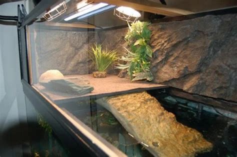 Tile basking spot with pre-made ramp. | Turtle tank, Turtle aquarium, Turtle habitat