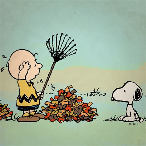 Come and rake my leaves when you finish, please. 😊 | Charlie brown and ...