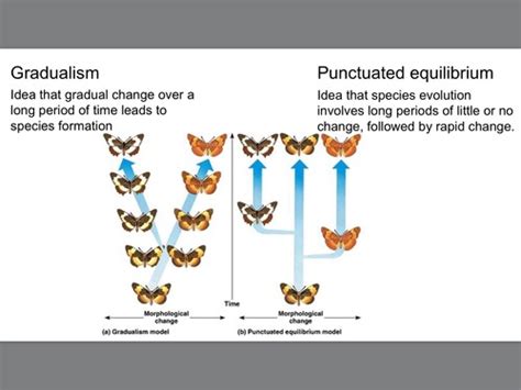 Gradualism Flashcards | Quizlet