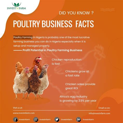 Poultry Farming Business facts | Poultry farm, Farming business, Poultry business