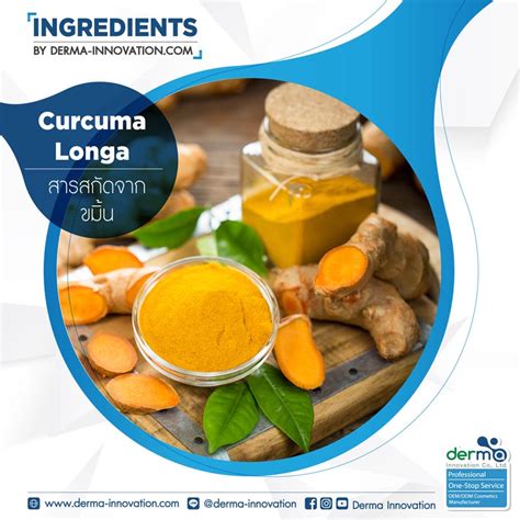 Curcuma Longa Extract - Derma-innovation