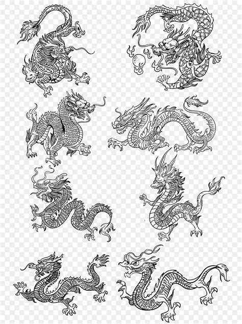 Mythical Chinese Dragon Material Black And White Hand Drawn Line ...