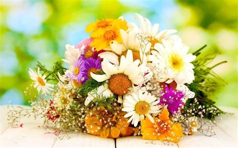 Best Flower Bouquets to Give When Dating – The WoW Style