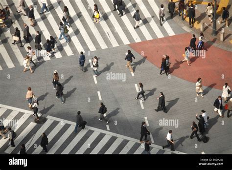 Shibuya Crossing, Tokyo Stock Photo - Alamy