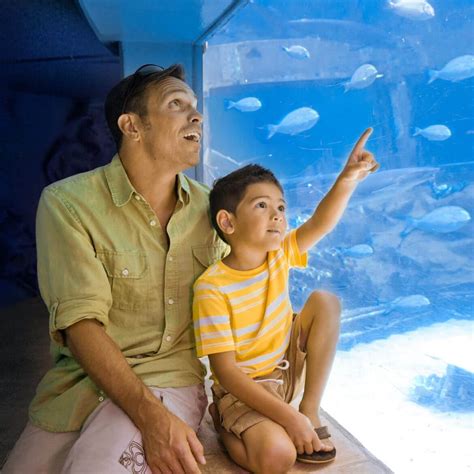 Sea Life Park on Oahu: an Exclusive Interview | Hawaii Travel with Kids