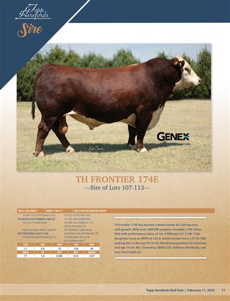 Topp Herefords 2022 Bull Sale Catalog by Topp Herefords - Issuu