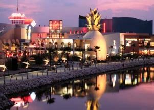 Orlando Nightlife & Entertainment!