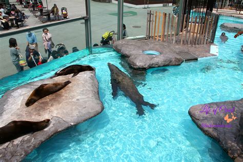 Ueno Zoo | Tokyo, Japan - Life of Creed