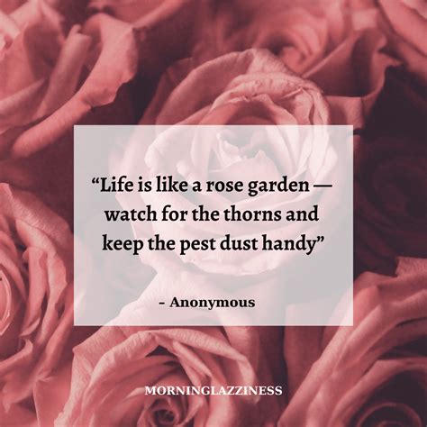 60 Best Rose Quotes To Appreciate the Beauty Of Life and Thorns ...