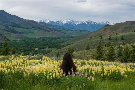 6 Must See Places to View Idaho’s Spring Wildflowers | Visit Idaho