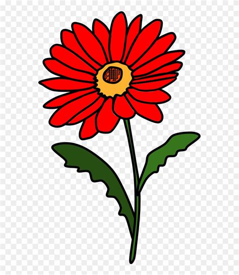 Daisy, Petals, Red - Barberton Daisy Clipart (#2136046) - PinClipart