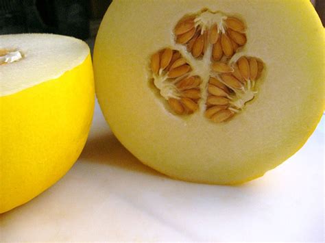 Canary melon - Recipes Wiki