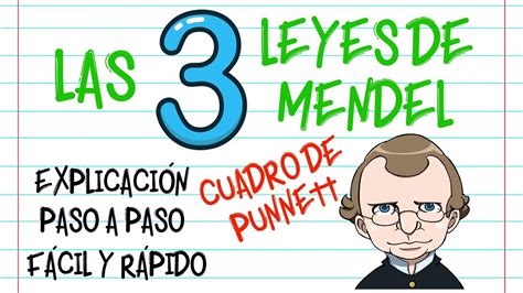 🌿LAS LEYES DE MENDEL, CUADRO DE PUNNETT PASO A PASO, EXPLICACIÓN [Fácil y Rápido] | BIOLOGÍA ...